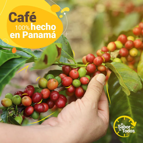 Cafe Duran Traditional Panama Coffee Ground 425g (15oz) Medium Roast and Grind.